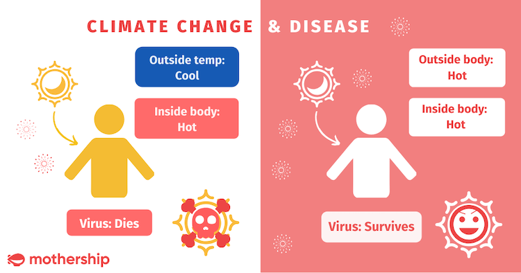 infographic of climate change and disease and effects on our body and immune system