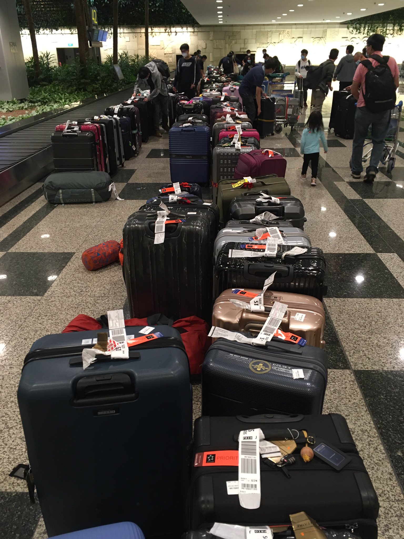 photo of neatly arranged luggage at Changi Airport before SHN