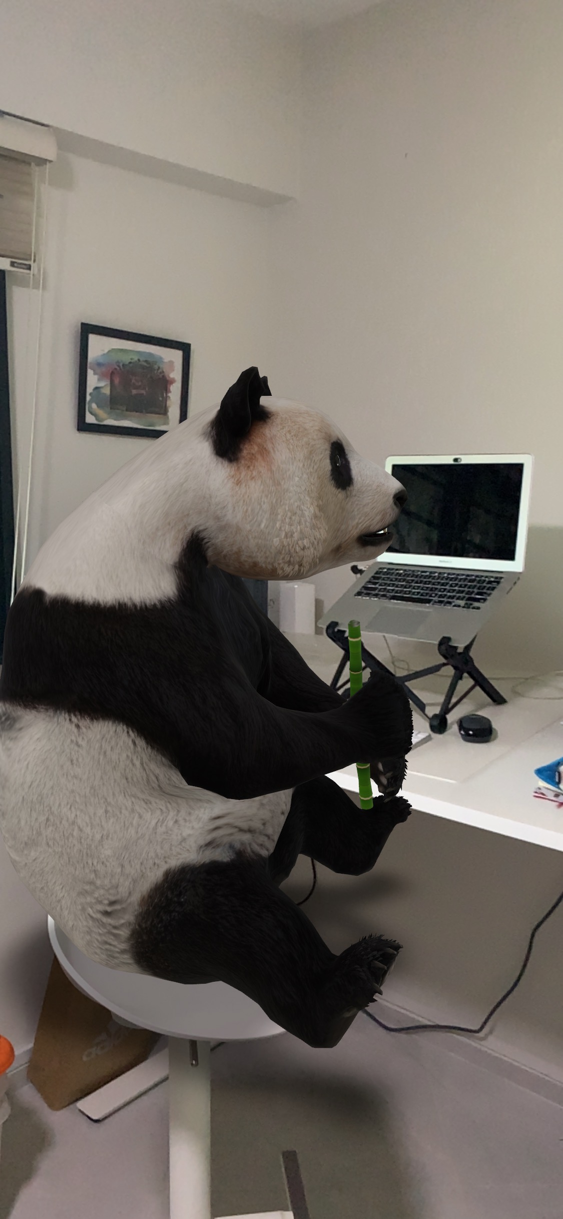 Keep yourself entertained at home with Google Chrome 3D AR Animals -   - News from Singapore, Asia and around the world