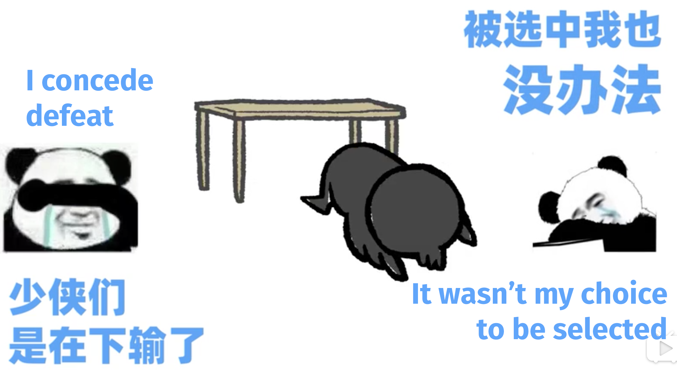 Chinese homework meme 06 picture
