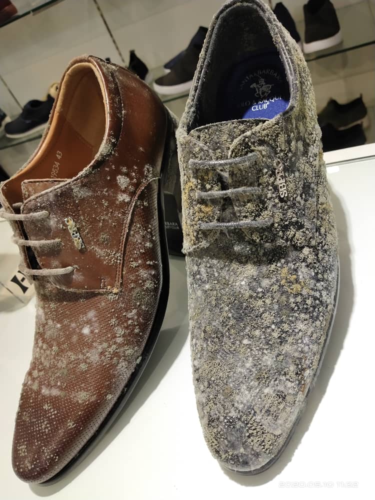 how to get mold off leather shoes