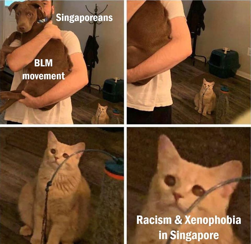 Viral memes call out S'poreans who advocate for BLM but ignore racism