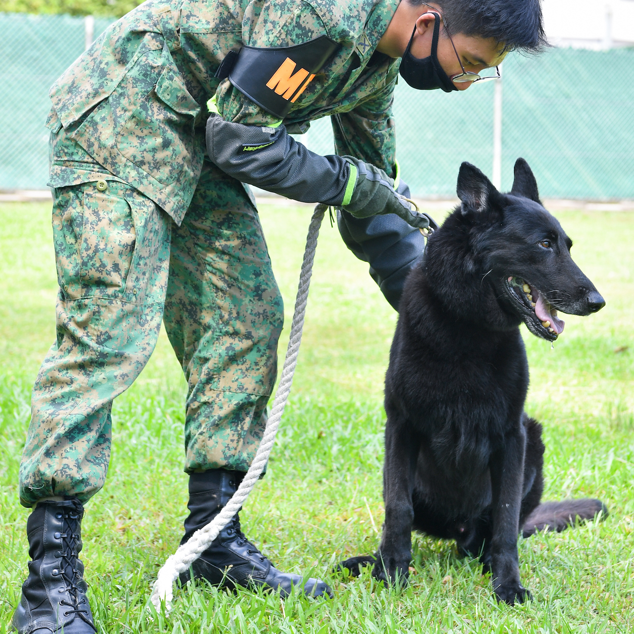 army k9 dogs