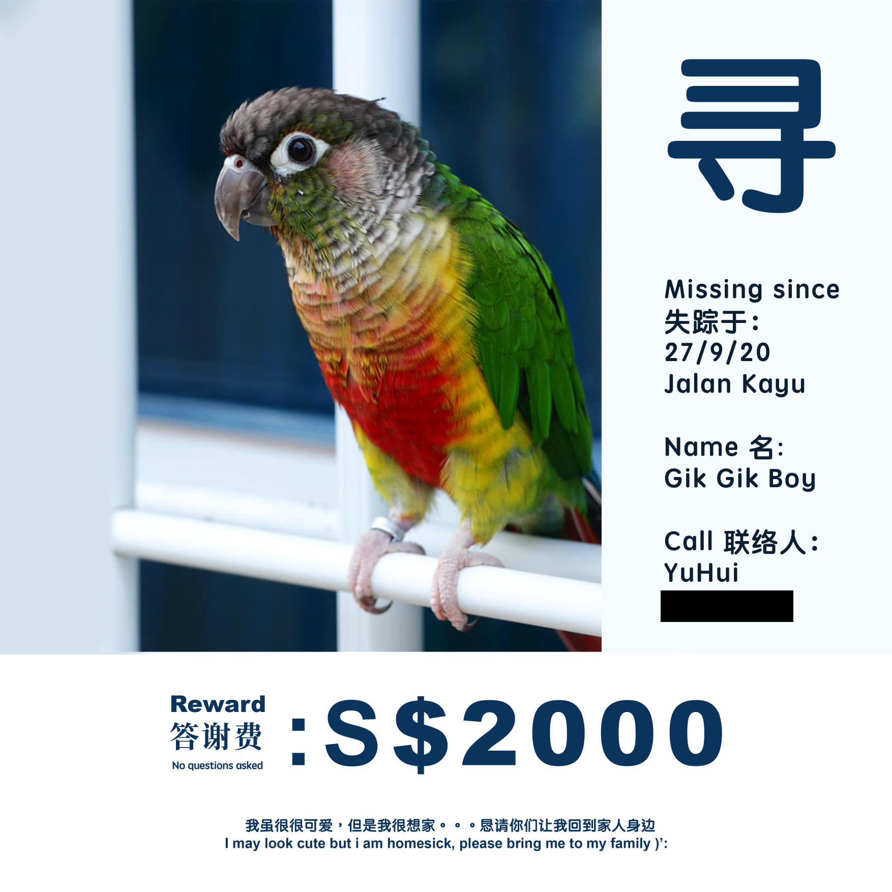 lost green parrot