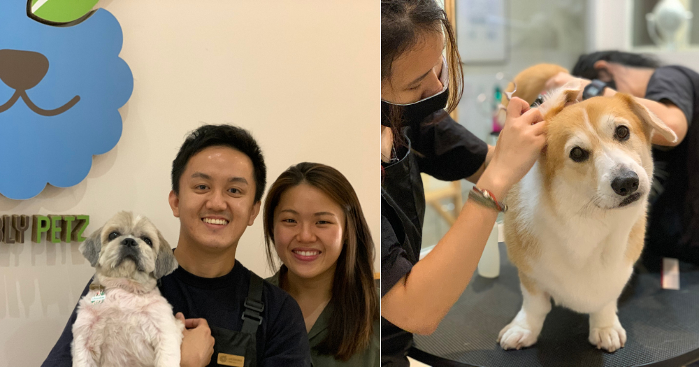 S'porean couple starts S'pore's first humane pet grooming service at age 26  after seeing dark side of industry  - News from Singapore,  Asia and around the world