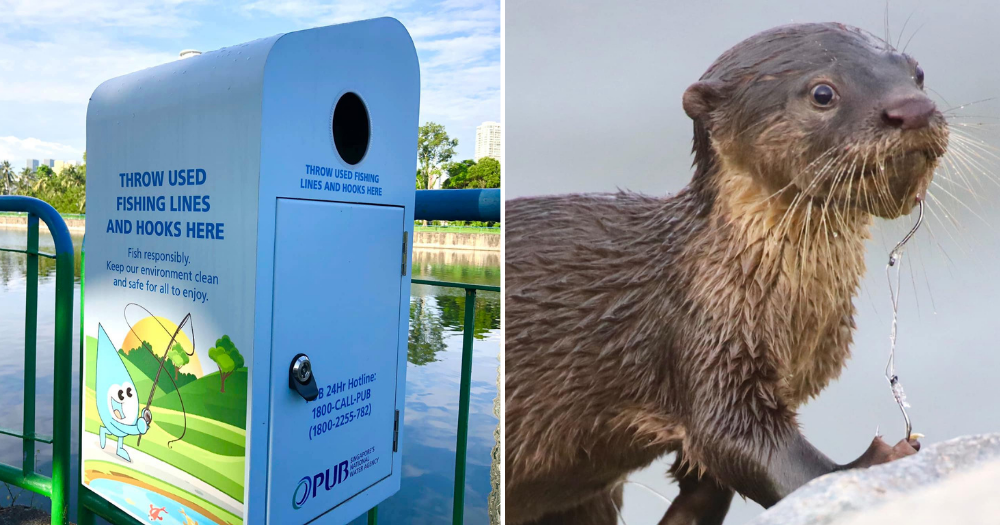 PUB installs small bins at reservoirs around S'pore for anglers to discard  used fishing hooks and lines -  - News from Singapore, Asia  and around the world