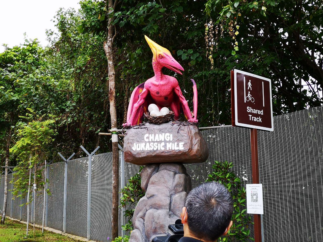 Meet 'lifelike' dinosaurs while jogging or cycling to Changi Airport