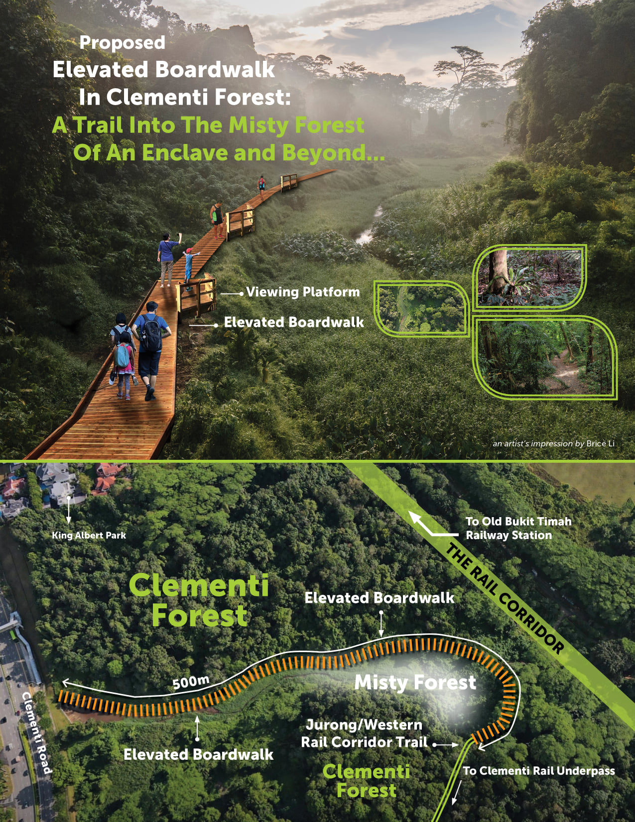 Nature Lover Proposes Building 500m Elevated Boardwalk In Clementi Forest For Its Conservation Mothership Sg News From Singapore Asia And Around The World