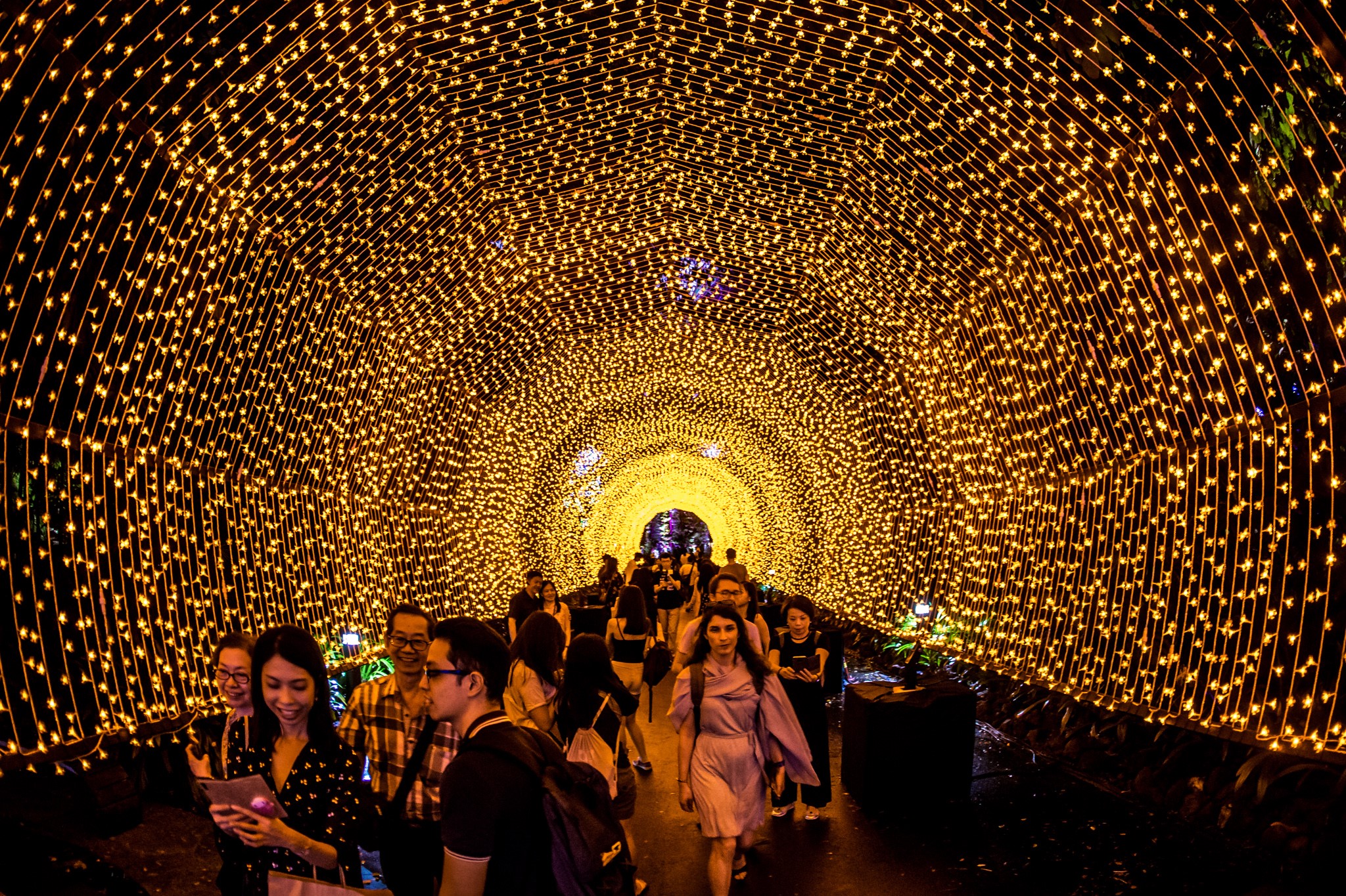 7 of the most Instagrammable spots to visit in S'pore this Christmas 2020 - Mothership.SG - News