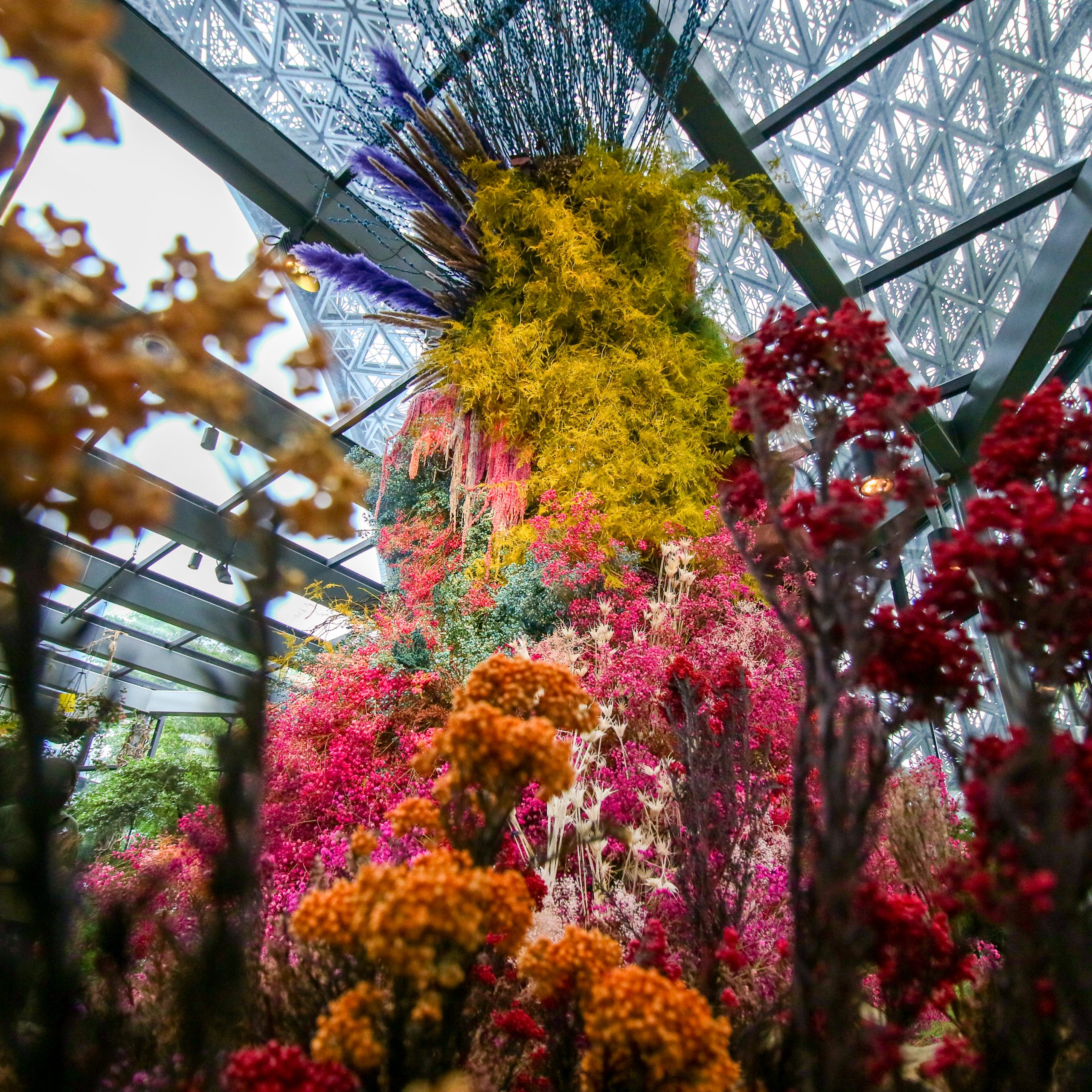 Floral Fantasy at Gardens by the Bay Reopens with Vibrant Blooms