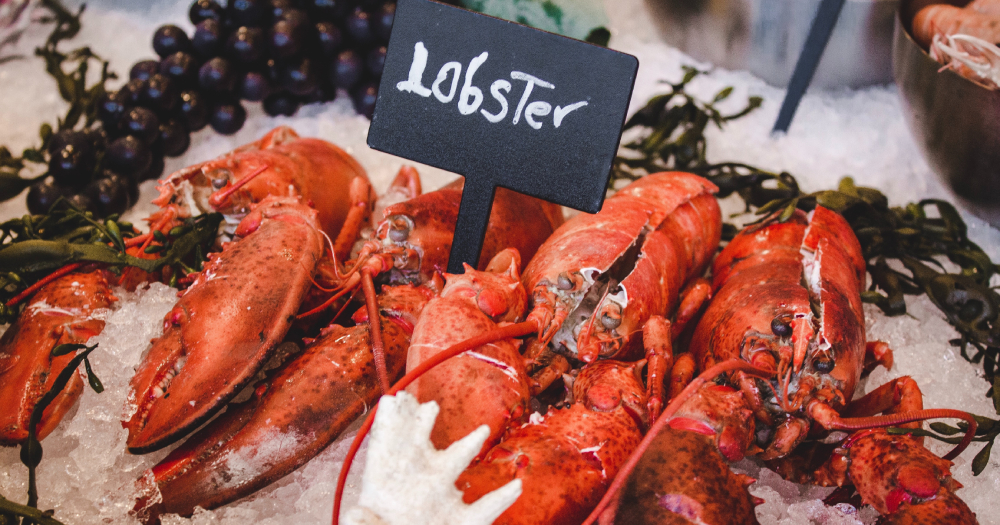 Tonnes of live Australian lobsters stranded in Chinese airports amid