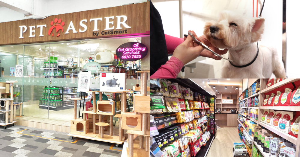 One-stop pet store at Bedok has affordable pet supplies & grooming service  with free 2-way transportation for east siders  - News from  Singapore, Asia and around the world