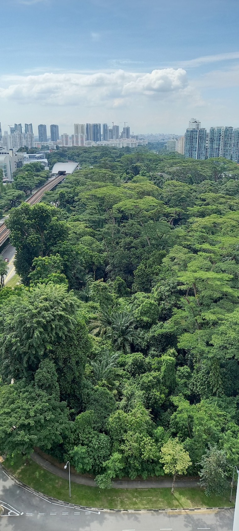 33 Hectare Dover Forest To Be Cleared For Housing Projects After Being Left Untouched For Over 40 Years Mothership Sg News From Singapore Asia And Around The World