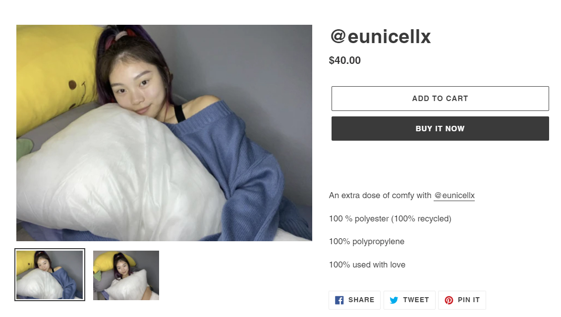 pre-loved-pillow-40-dollars.jpg