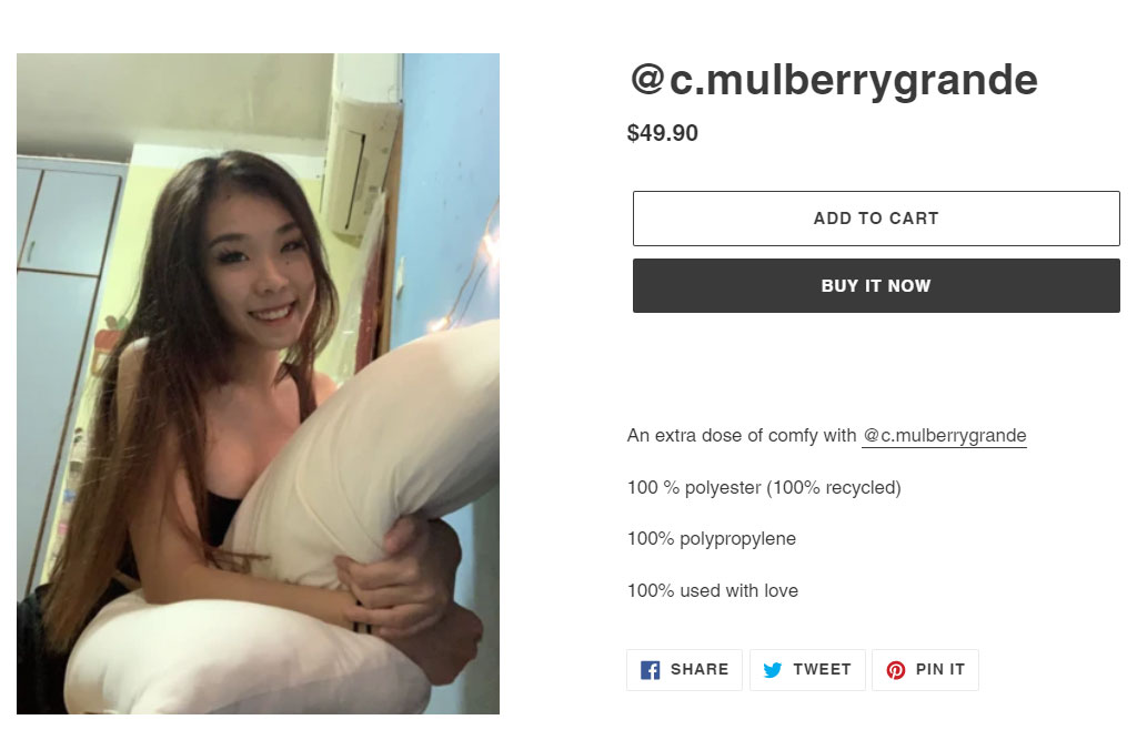 pre-loved-pillow-49-dollars.jpg