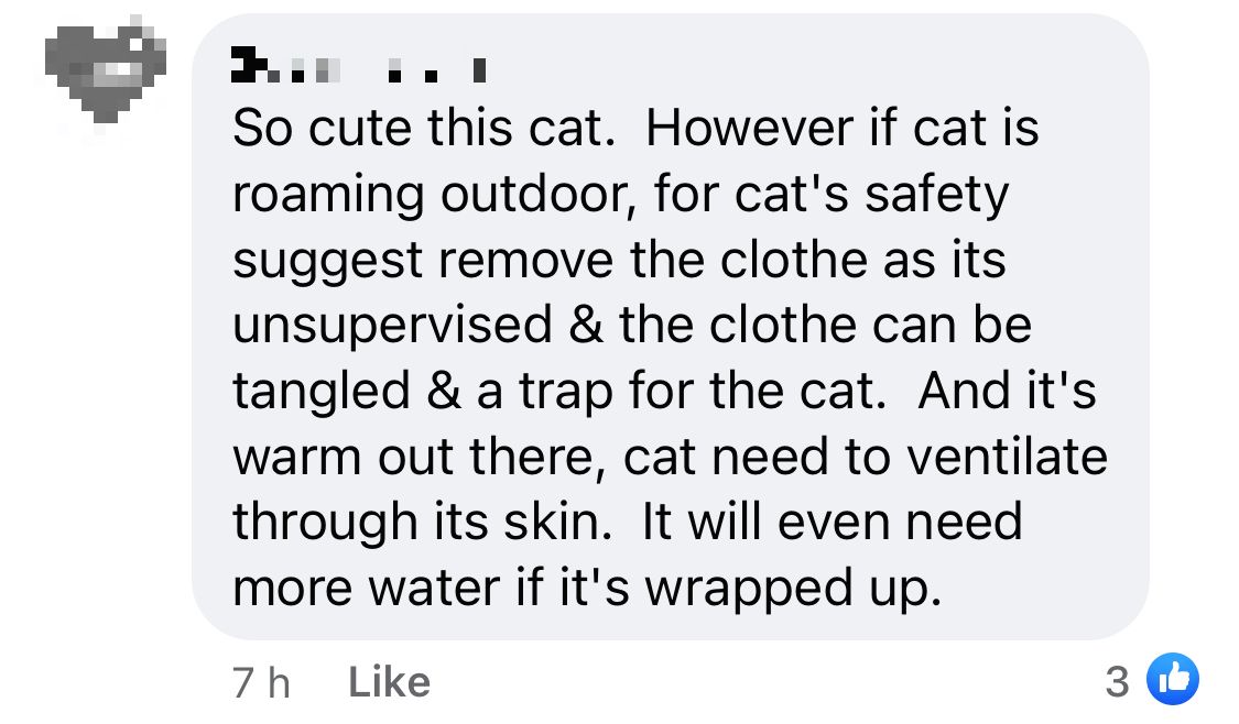 Comments on the post warning that clothing the cat could be dangerous.