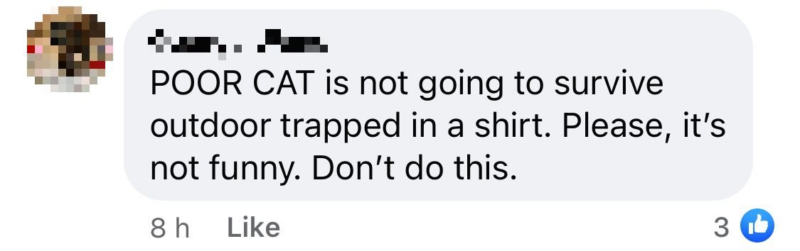 Comments on the post warning that clothing the cat could be dangerous.