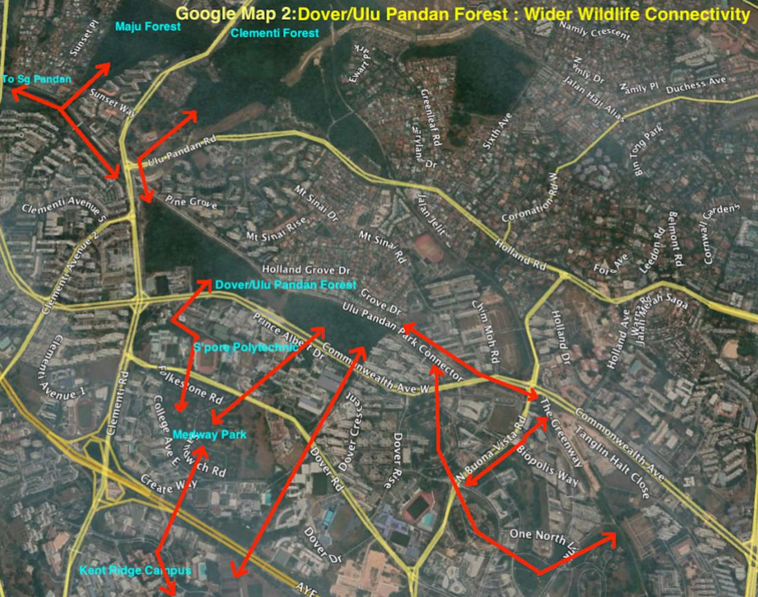 Keep Dover Forest Use Golf Course Open Spaces For Housing Plans Instead Nature Society S Pore Mothership Sg News From Singapore Asia And Around The World