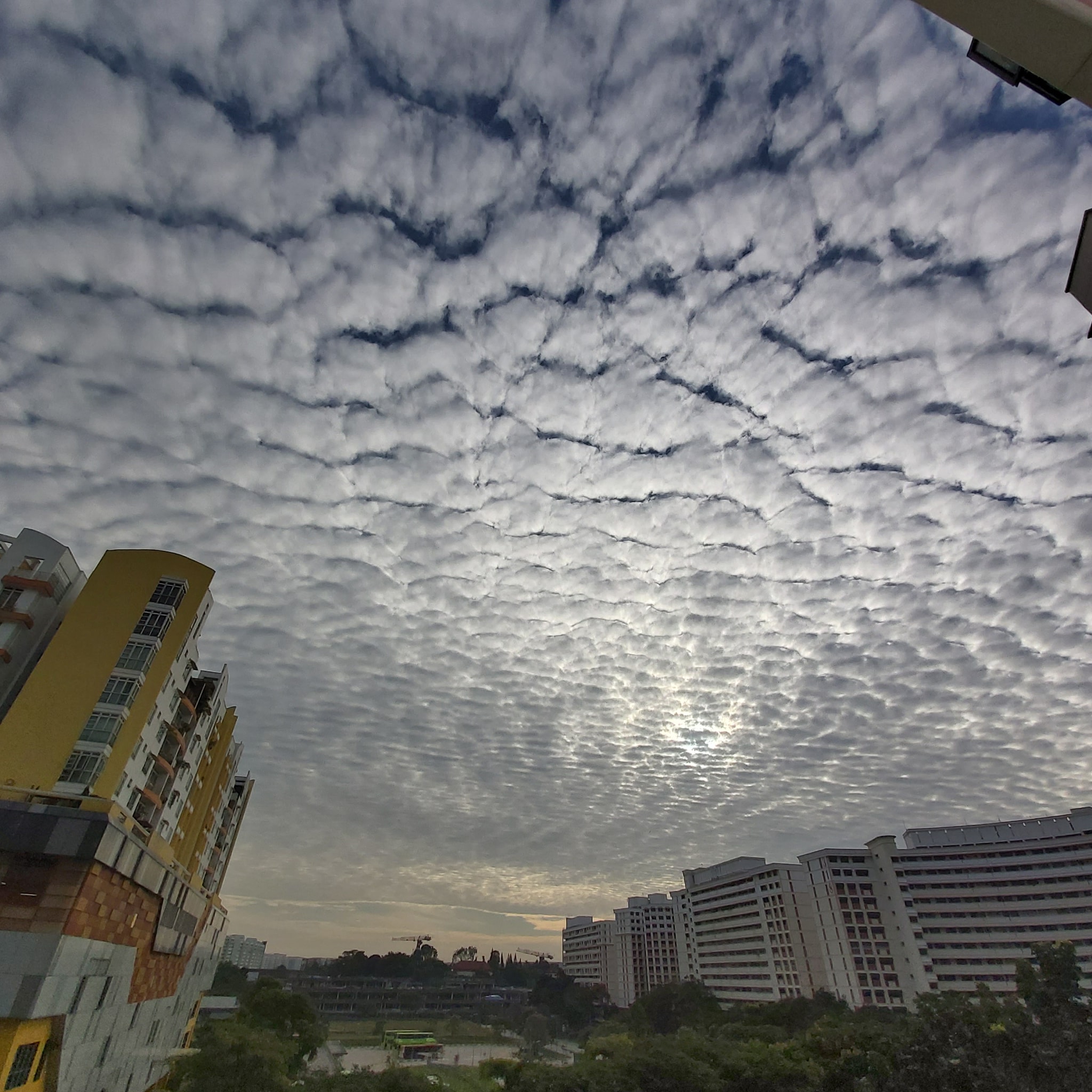 local cloud cover