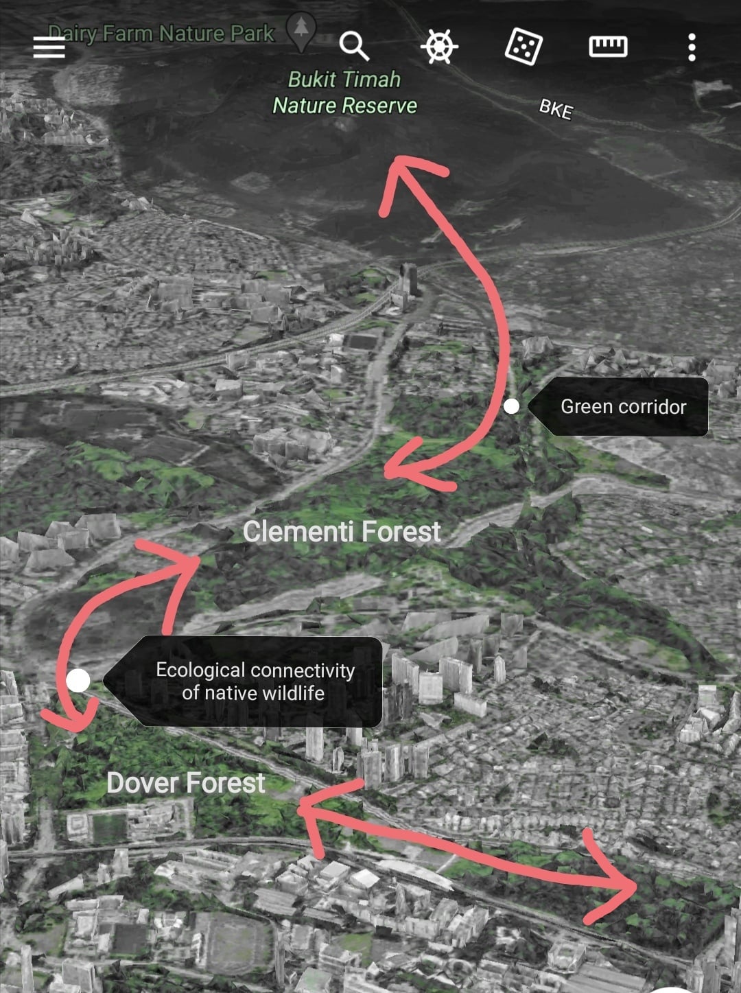 33 Hectare Dover Forest To Be Cleared For Housing Projects After Being Left Untouched For Over 40 Years Mothership Sg News From Singapore Asia And Around The World