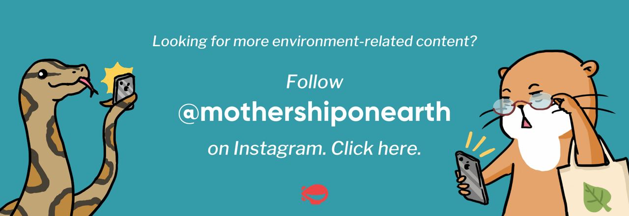 mothershiponearth promo