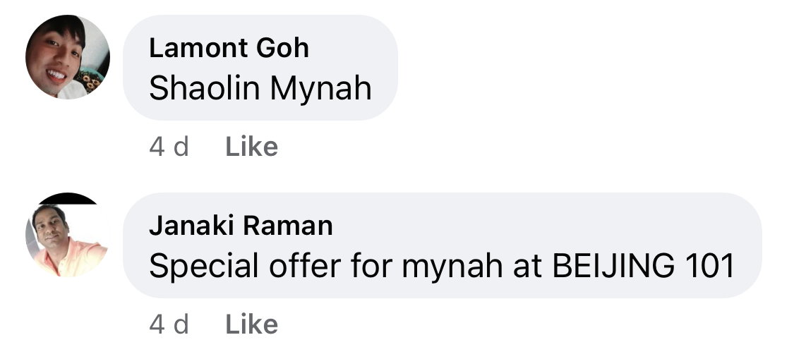 Screenshot of two comments which read "Shaolin Mynah" and "Special offer for mynah at Beijing 101"