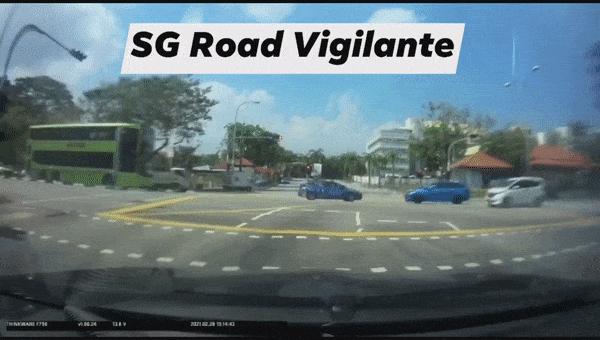 GIF from dashcam footage of the dog being run over