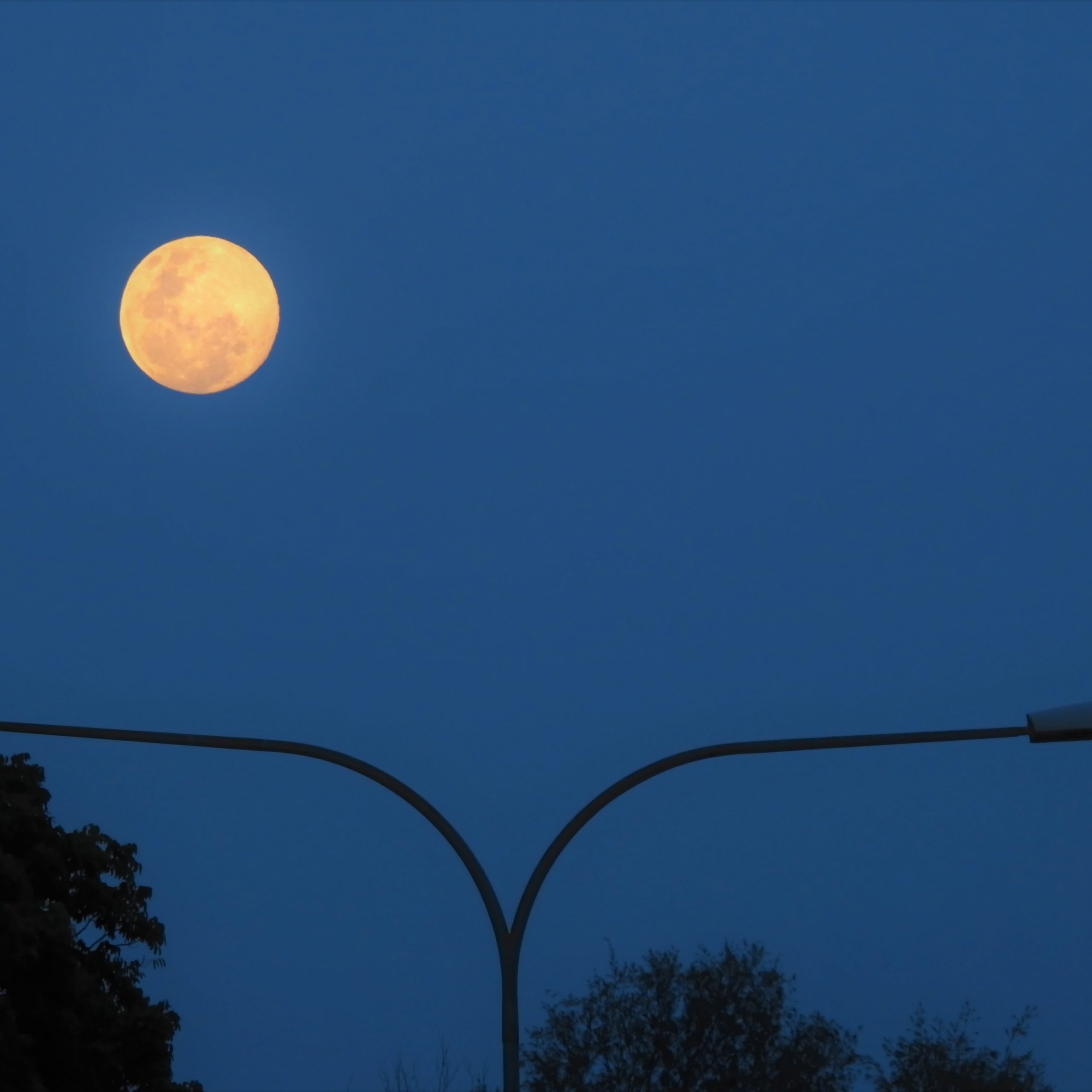 'Pink moon', one of 2021's supermoons, shines on S'pore on Apr. 26, 2021 - Mothership.SG - News ...
