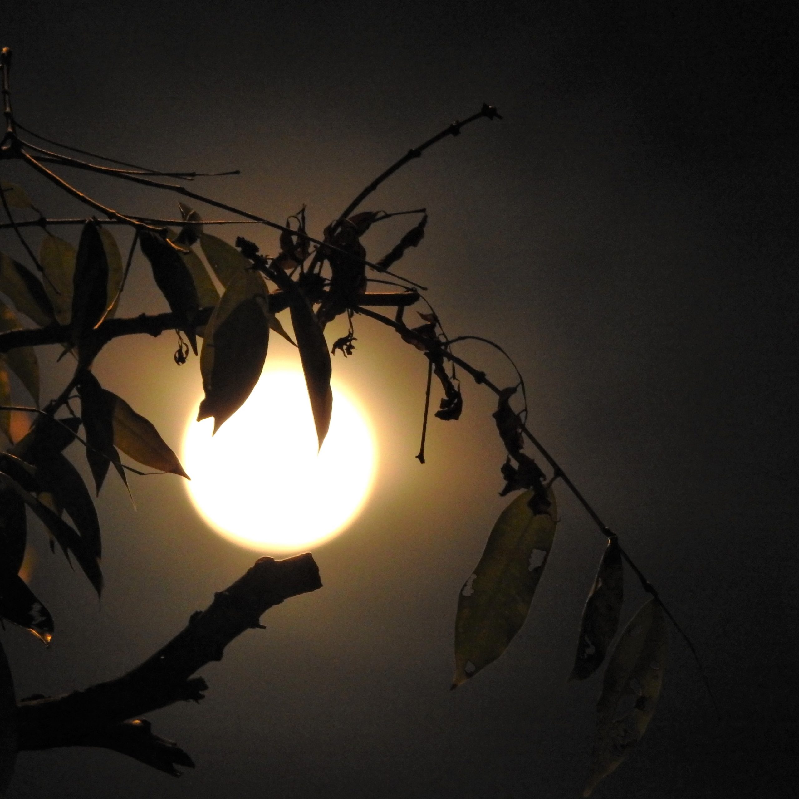 'Pink moon', one of 2021's supermoons, shines on S'pore on ...