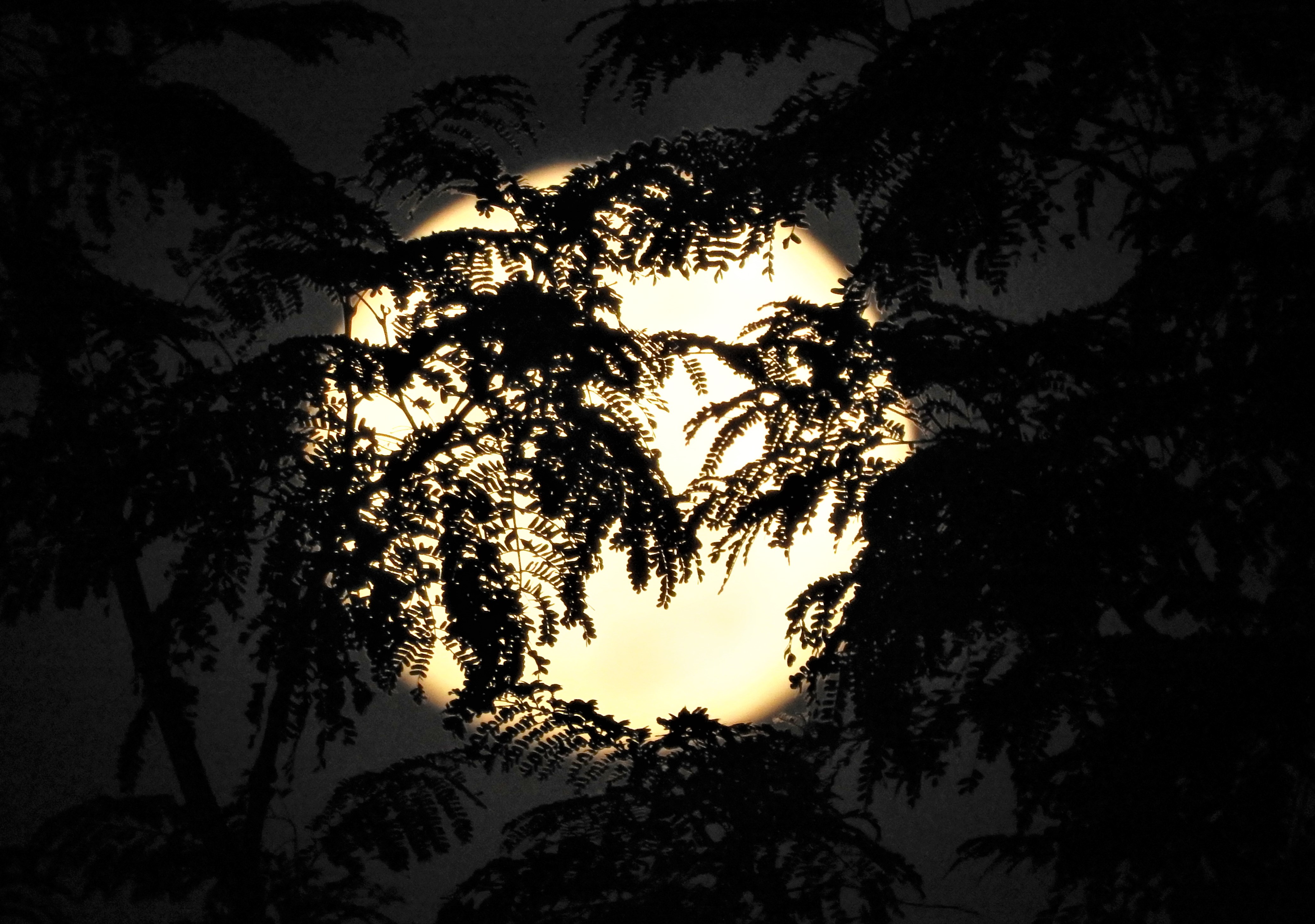 Image of the Gibbous moon over Singapore