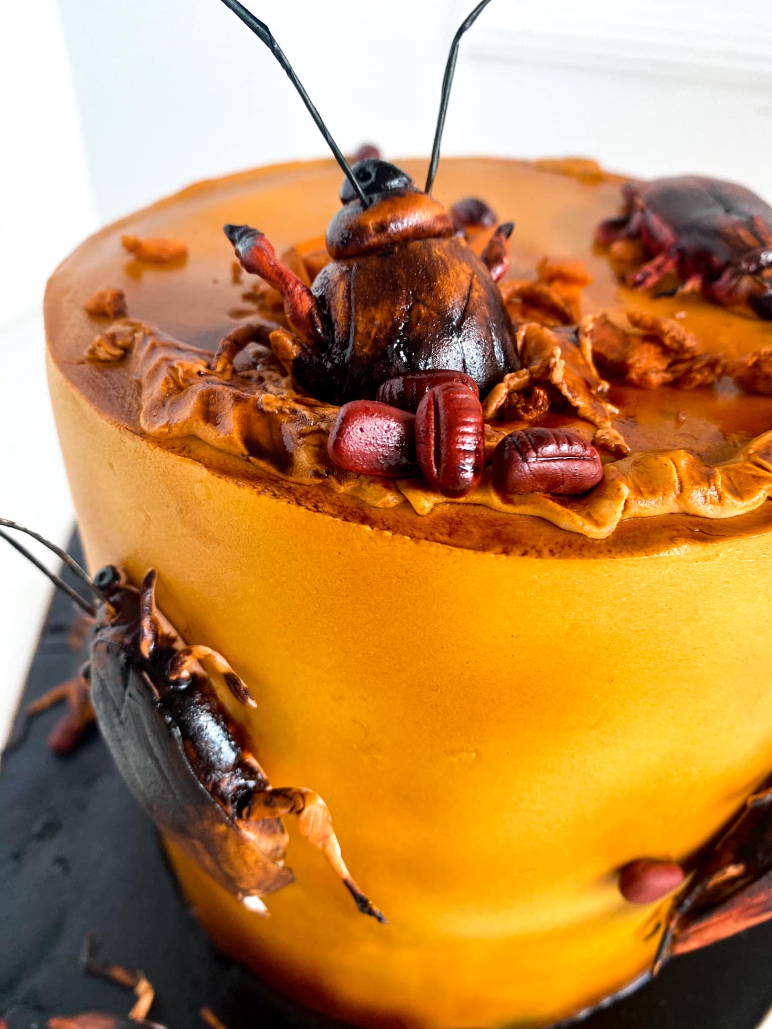 Creepy Cockroach Cake | cake | Creepy Cockroach Cake! Eat, drink and be  scary 🕸🎂🎃 | By Chefclub NetworkFacebook