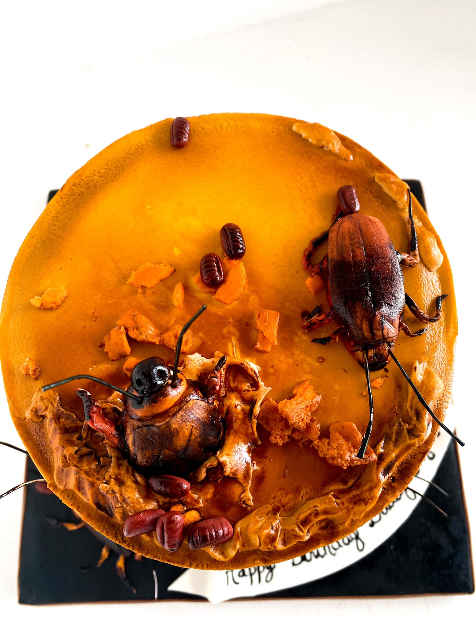 Giant cockroach cake (custard filling inside for the squish effect when  cutting), commissioned as a gag gift for an anniversary. Smartphone for  scale. (xpost r/cakewin) : r/pics