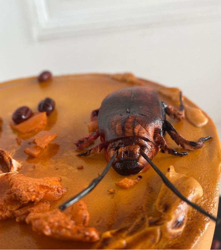 Woman In The Philippines Orders Realistic Cockroach Cake For Husband Whos Afraid Of