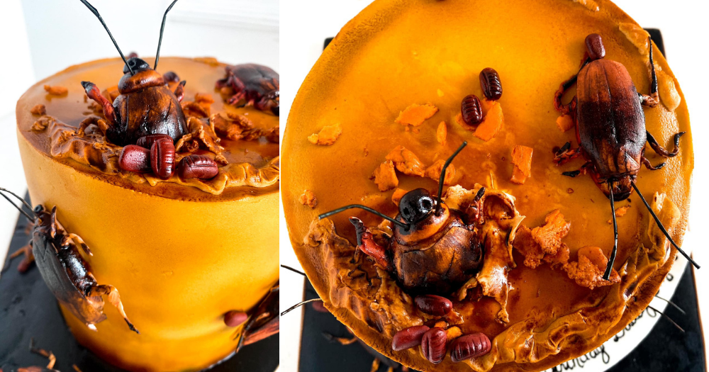 Giant cockroach cake (custard filling inside for the squish effect when  cutting) - Imgur