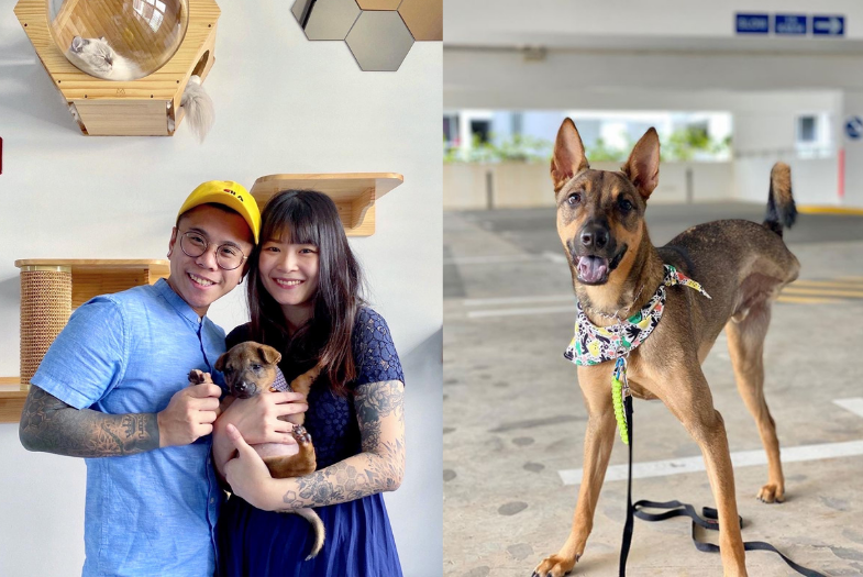 Left: Lee and partner holding Kobe as a 2 month old, Kobe as an adult