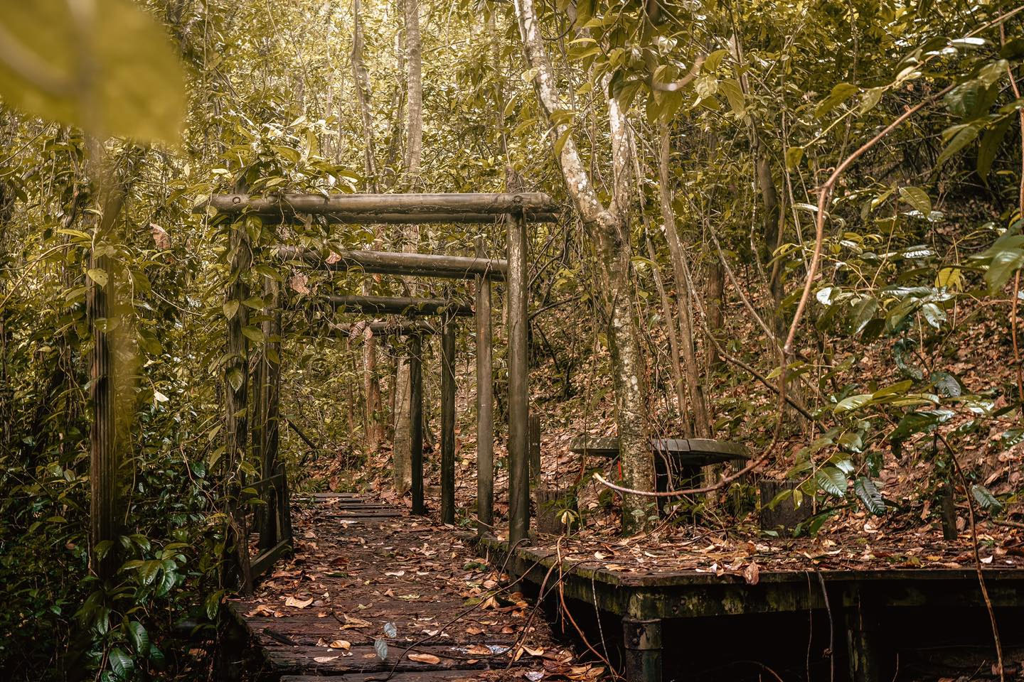 Abandoned park in Bukit Batok contains Torii gates structure, disused well & sheltered hut - Mothership.SG - News from Singapore, Asia and around the world