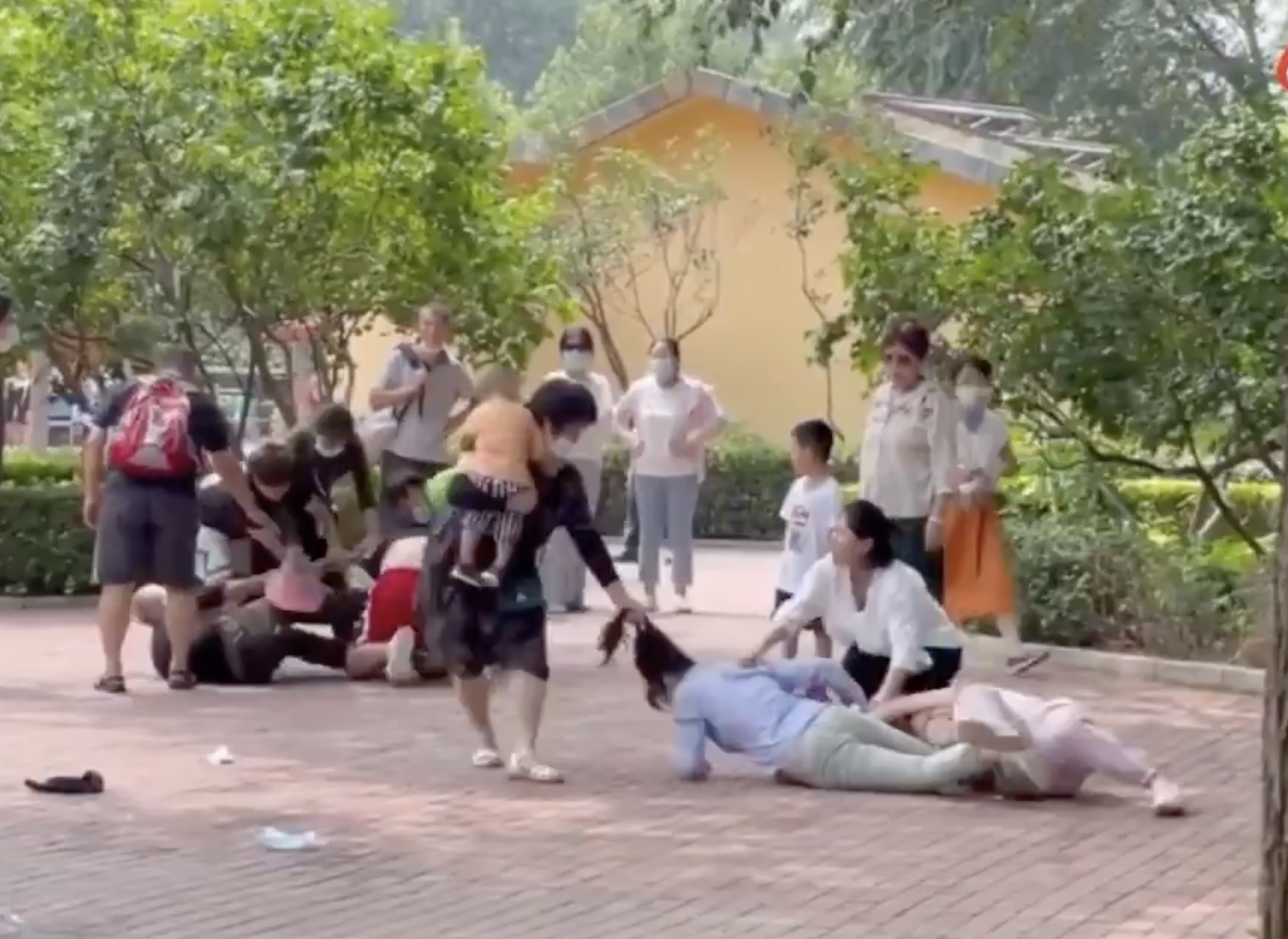Animals In Beijing Zoo Imitate Humans Fighting After Seeing Tourists Epic Brawl Mothership Sg News From Singapore Asia And Around The World