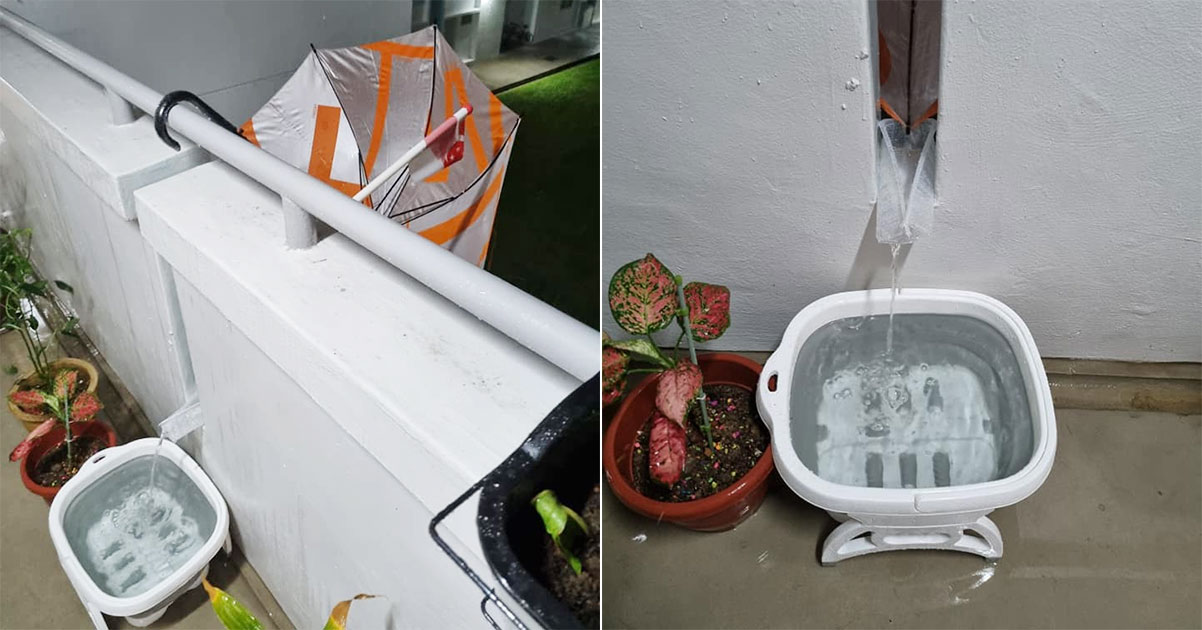 diy rainwater collection system singapore