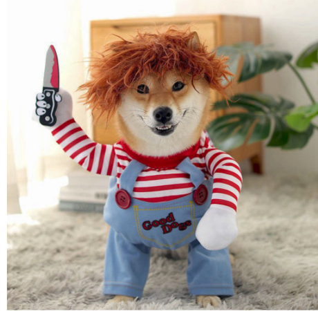 chucky costume for a dog