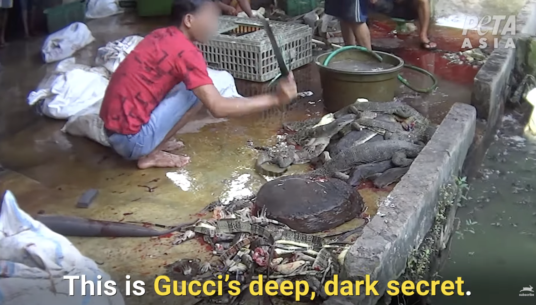 Louis Vuitton & Gucci sell products made from cruelly killed snakes &  lizards: animal rights group PETA -  - News from Singapore,  Asia and around the world