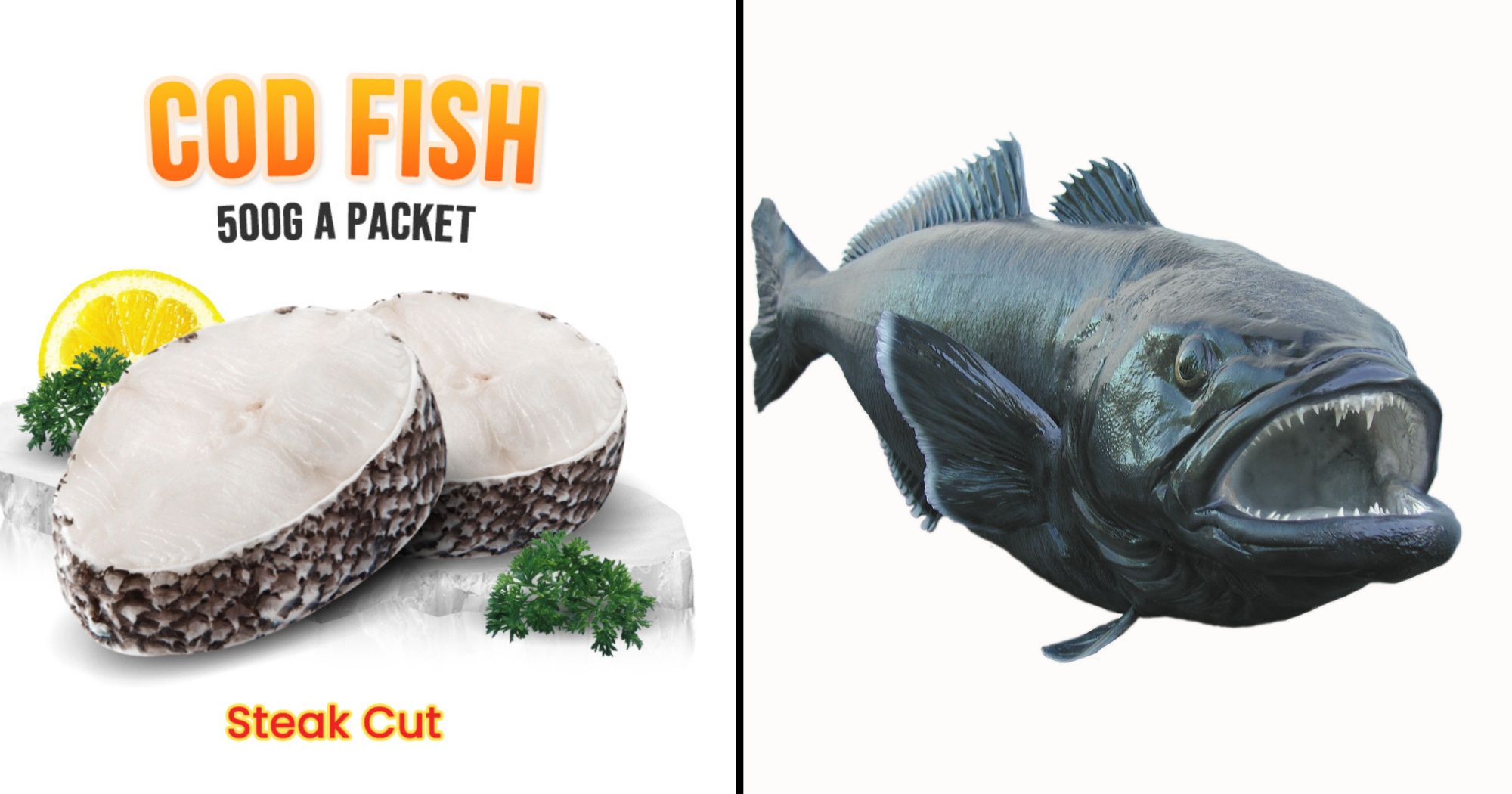 fresh-cod-harbor-fish-market