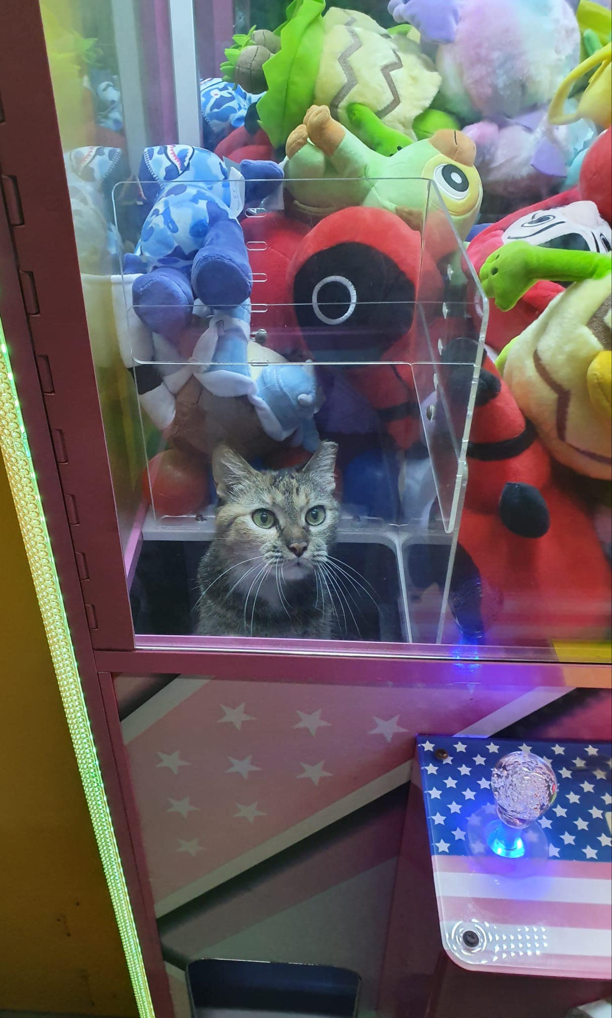 prize claw game app