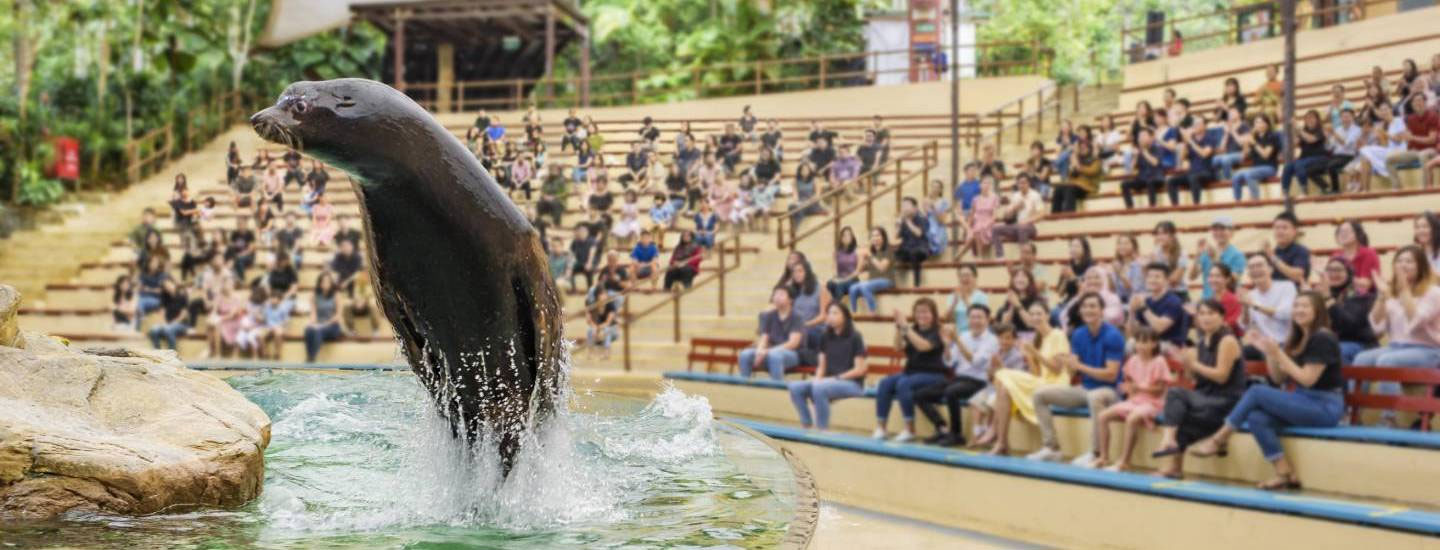 Mother uses son as sponge to absorb sea lion's wild splashes at S'pore