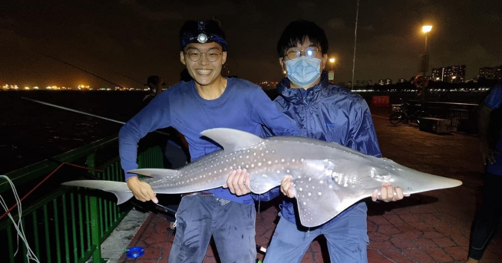 UNEXPECTED Giant Shark Catch & Release 