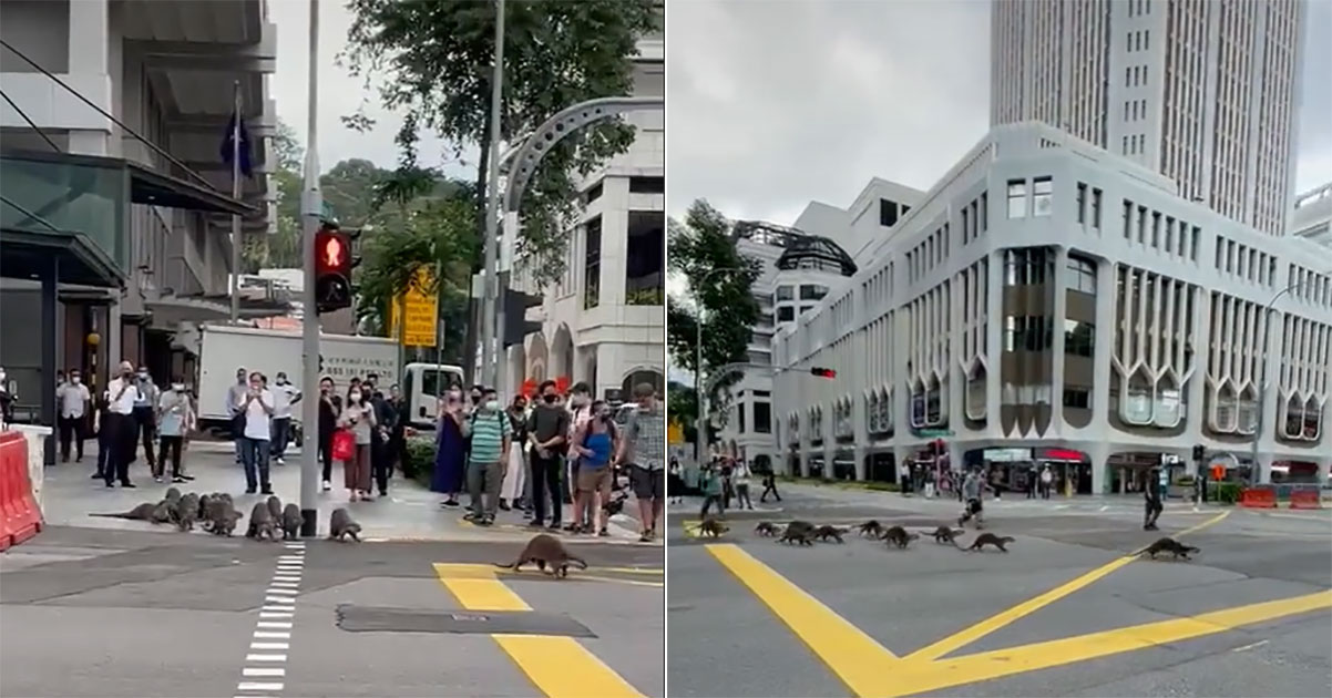 Otters Cross Road Diagonally From Funan To St Andrews Cathedral A La Shibuya Road Junction Mothership Sg News From Singapore Asia And Around The World