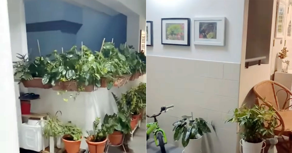 Sengkang neighbours beautify HDB common corridor with paintings