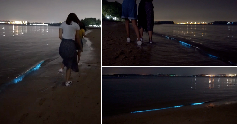 Blue bioluminescent waves S'pore beach provide rare surprising magical display by nature - Mothership.SG - News from Singapore, Asia and around the world