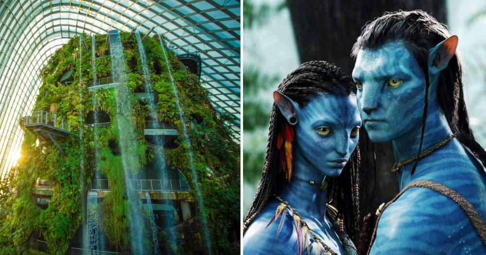 AVATAR THE EXPERIENCE WILL GRAND OPEN ON 28 OCTOBER 2022 AT CLOUD FOREST  GARDENS BY THE BAY