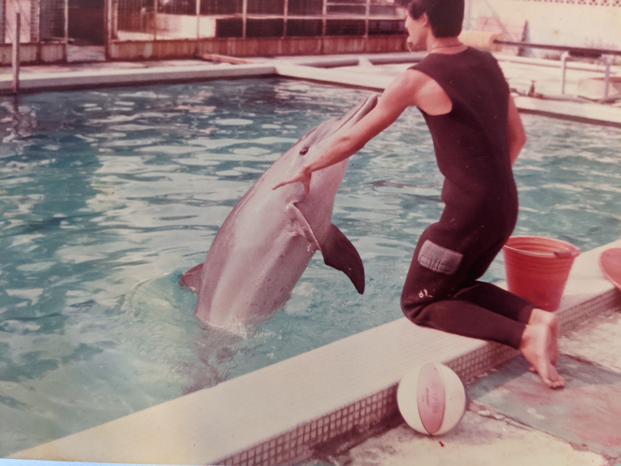 Lim worked as a dolphin trainer in Malaysia