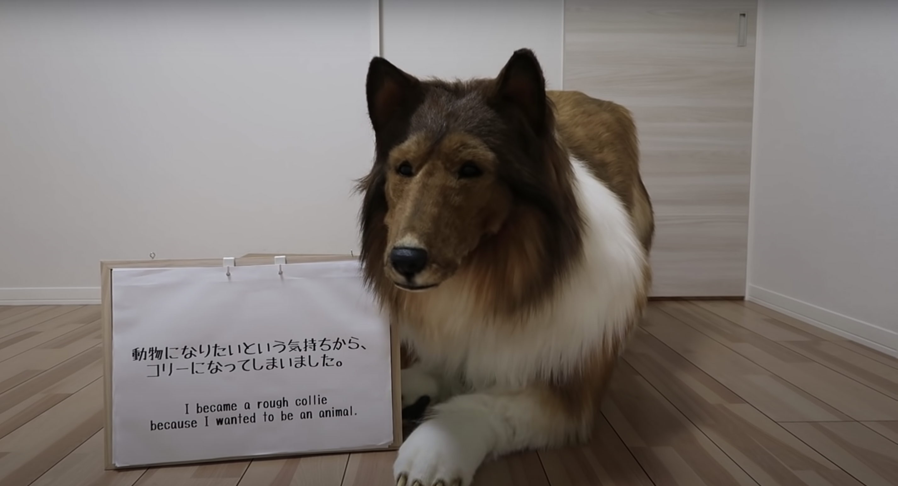 Japanese man spends £12,500 on ultra-realistic dog costume so he can live  like an animal